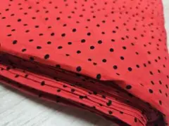 大大大SALE✨USA fabric ロラライハリス Dinky Dots