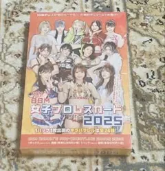 BBM 女子プロレスカード 2025 新品未開封ボックス シュリンク付　②