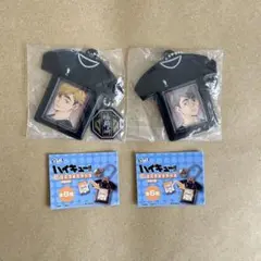 ハイキュー　ミニフォトケース　宮