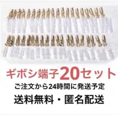 Item thumbnail for item 8031842f-1e27-4875-9f3d-51fe72e7573d