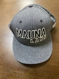 ラルフローレン　ハワイ島　Mana lani マウナラニリゾート　ポロシャツ L カスタム スリム フィット ストレッチ メッシュ ポロシャツ