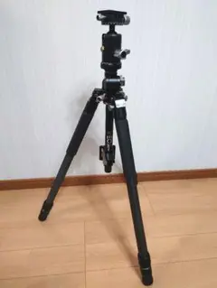 Item thumbnail for item fe2aab0c-329d-421c-bd2d-6029069ae361