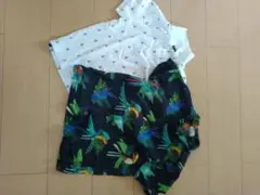 Item thumbnail for item 8056c87c-a197-4a88-babf-a573c6c92252