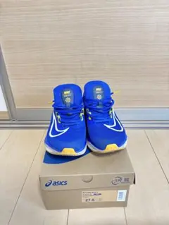 NIKEズームフライ5 27.5cm