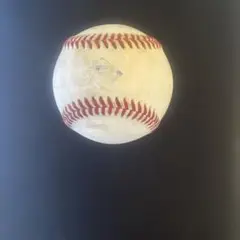 ファイターズ練習ボール
