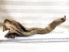 流木 ホーンウッド
