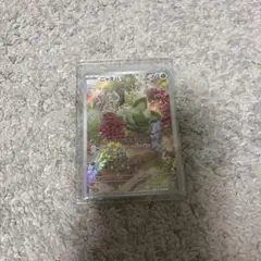 ニャオハ　AR