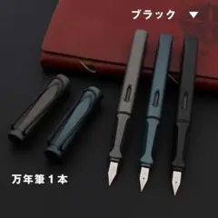 スタイリッシュ万年筆(ブラック)インク付き・新品未使用品