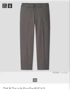 Item thumbnail for item e0b4001f-5eb2-43a4-a362-198465d5444c