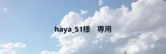 埼玉西武ライオンズ　西川愛也　シークレット三角コインケース