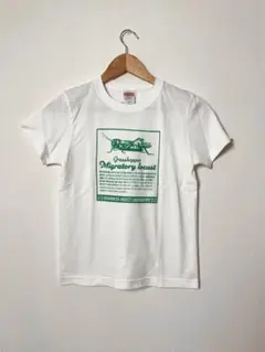 オリジナル昆虫Tシャツ　グラスホッパーグリーン