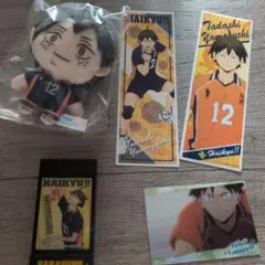 ハイキュー!! 山口忠セット