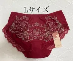 ボーイズレングス キス ザ ミラー　ショーツ　Lサイズ　定価2860円／枚