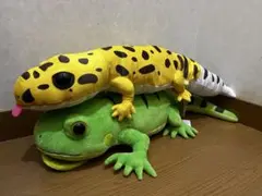 (新品)レオパのきいちゃん　BIGぬいぐるみセット