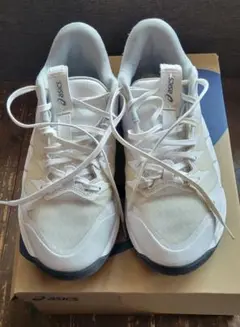 ASICS 　アンプレアルス　LOW2 　26cm