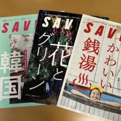 SAVVY サヴィ　3冊セット
