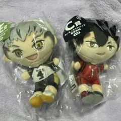 ハイキュー!! ぬいぐるみ 2体セット