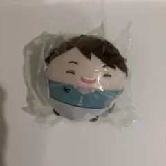 ハイキュー　ふわコロりん6 及川徹