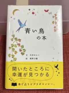 石井ゆかり　青い鳥の本