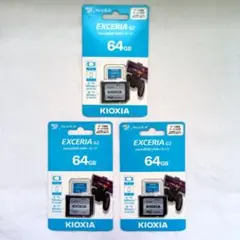 3枚セット KIOXIA EXCERIA G2 64GB miniSDカード