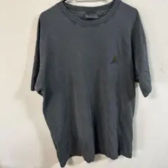 CARHARTT WIP S/S NELSON T-SHIRT カーハート