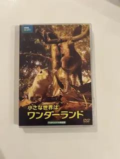 小さな世界はワンダーランド TVオリジナル完全版