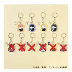 ハイキュー!! 2連アクリルキーホルダーいただきます vol.1烏野4種セット