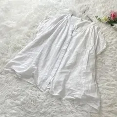 Item thumbnail for item 99299a67-0c20-4400-8fa4-ff45a44c3e2c