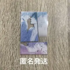 ピットスポルム 三上志乃 先生 コミコミ限定フェア特典 クリアカード