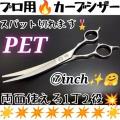 Item thumbnail for item a1f19e27-b26a-4065-8b02-47328c9848f0