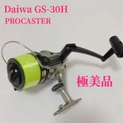 美品✨ダイワ GS-30H スピニングリール 投げ釣り用リールプロキャスター S