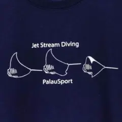 ネイビーティシャツMパラオスポーツダイブとマンタロゴフロント片袖方裾ロゴ有り