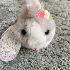 うさだまちゃん非売品アミューズメント商品送料税込