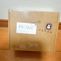 ボムギュ　PANIC BEOMGYU 新品未開封 txt ①