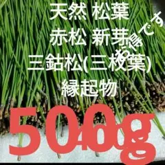 Item thumbnail for item c5b1d66b-4782-461c-848b-24a76280a93c