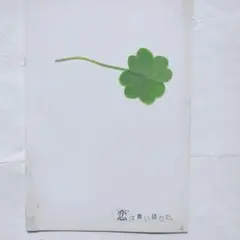 映画パンフレット　恋は舞い降りた