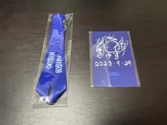 ゆず HIBIKI 2023 YZ席 特典パス