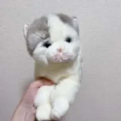青い猫のぬいくるみ - ブリティッシュショートヘア リアルで生き生きとした 青い猫のぬいくるみ - ブリティッシュショートヘア リアルで
