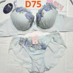 Item thumbnail for item ef4b86f7-e7b8-4656-b499-dbb44d76ed40