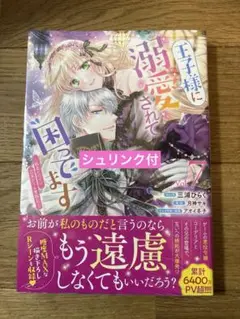 王子様に溺愛されて困ってます 7