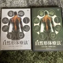 自然形体療法の非売品テキスト&DVD「基幹の型」 2024人気特価 自然形体療法の非売品テキスト&DVD「基幹の型