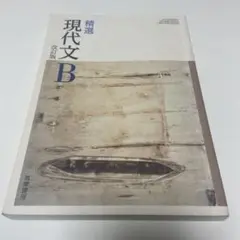 精選現代文B