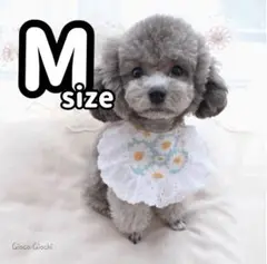 Item thumbnail for item 80658568-a1bb-4e5a-9116-fdb01d05c950