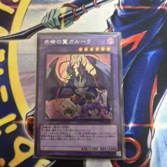 遊戯王　共命の翼ガルーラ　シークレットレア