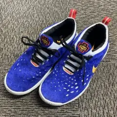 NIKE FREE TRAIL 5.0 US9.5 27.5センチ