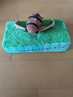 中山グランドジャンプ 馬のティッシュケース
