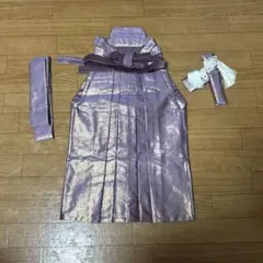 Item thumbnail for item 75461395-96be-41f3-9b51-e17859508094