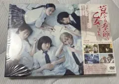 荒ぶる季節の乙女どもよ。 DVD-BOX〈4枚組〉