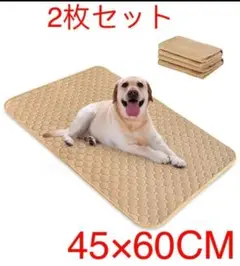 Item thumbnail for item 46f8b068-3f12-4b7f-a517-88460d62d47f