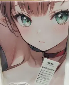 真朱シークレットタペストリー